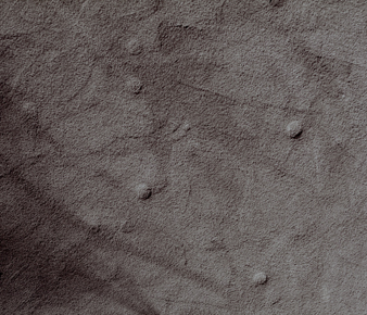 Kiriko Shirobayashi: Memento mori